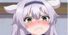 魔术讲师与魔禁教典樱花动漫